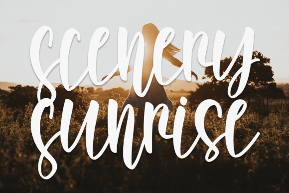 Scenery Sunrise: A Designer’s Real-World Review